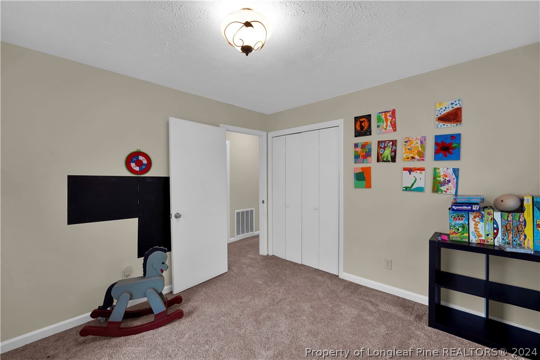 480 Rockfish Road Raeford, NC 28376 - Photo 22 of 30 a view of room with toys