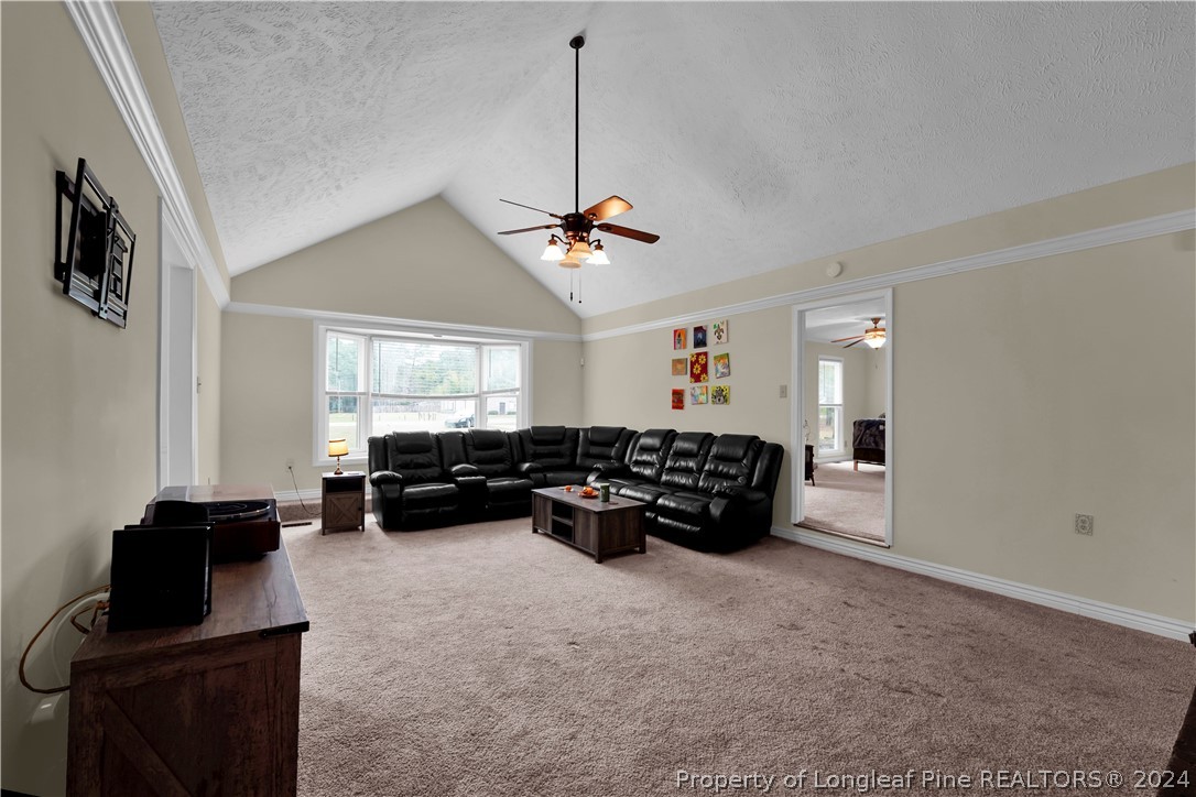 480 Rockfish Road Raeford, NC 28376 - Photo 8 of 30 a living room with furniture and a flat screen tv