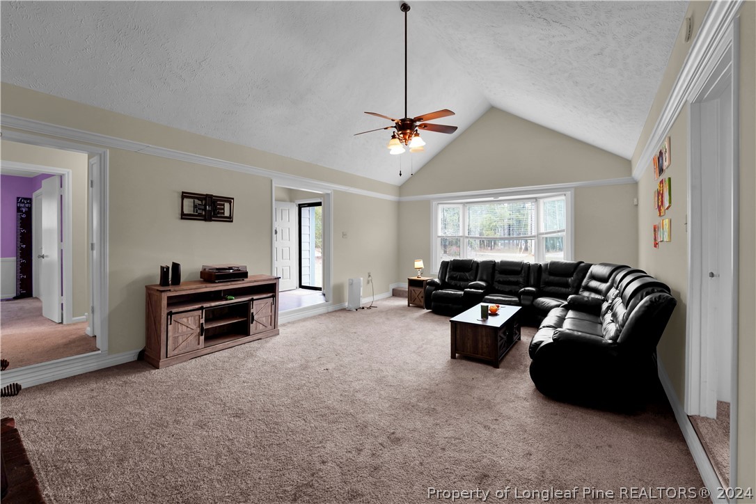 480 Rockfish Road Raeford, NC 28376 - Photo 9 of 30 a living room with furniture and a flat screen tv