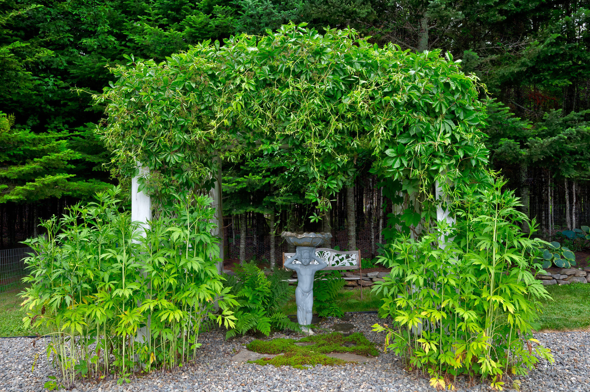 178 Kennebago Road Stratton, ME 04982 - Photo 40 of 125 178_Kennebago-081