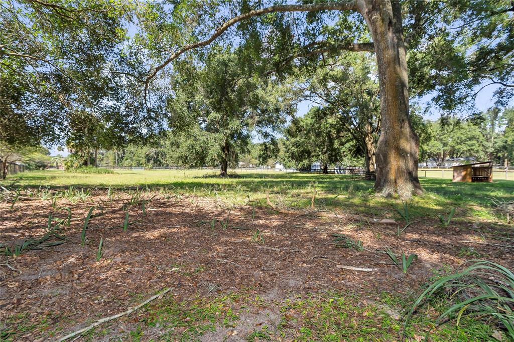 13232 Northeast 39th Terrace Anthony, FL 32617 - Photo 49 of 55 a view of outdoor space with trees