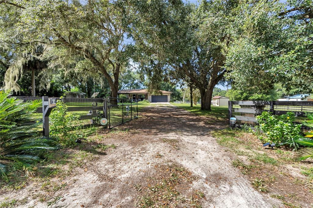 13232 Northeast 39th Terrace Anthony, FL 32617 - Photo 51 of 55 a view of park with tree s