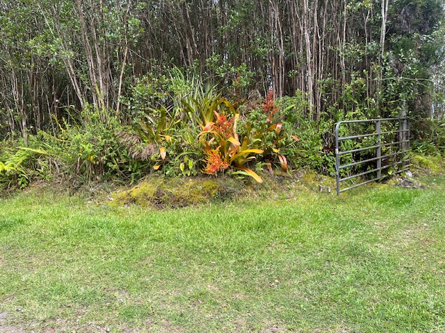 11-2038 Makoa Road Mountain View, HI 96771 - Photo 4 of 7 a view of a garden