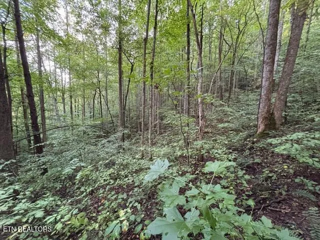 $185,000 | 0 Hwy 297 Pioneer Tn 37847, Pioneer, TN 37847