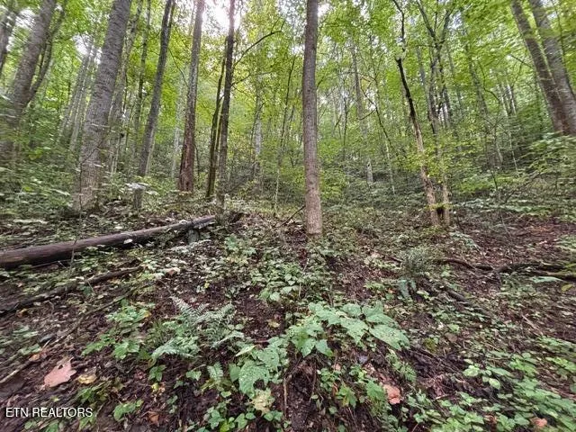 $185,000 | 0 Hwy 297 Pioneer Tn 37847, Pioneer, TN 37847