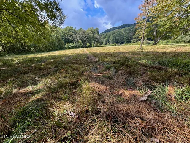 $185,000 | 0 Hwy 297 Pioneer Tn 37847, Pioneer, TN 37847