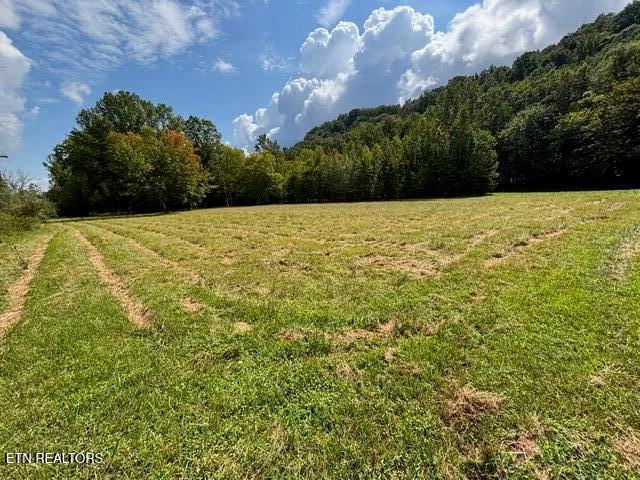 $185,000 | 0 Hwy 297 Pioneer Tn 37847, Pioneer, TN 37847
