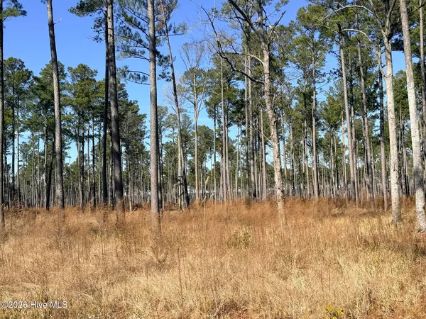 $750,000 | 0 Sr 1119 Off, Blounts Creek, NC 27814