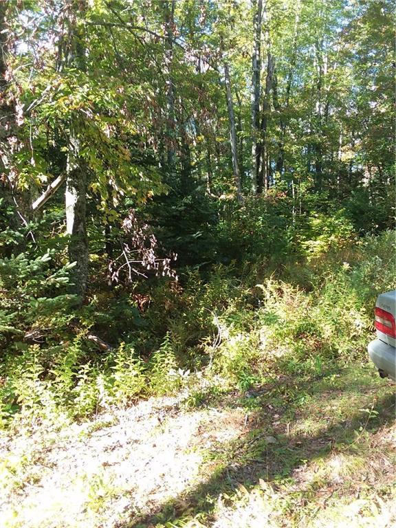 88 Browns Cove Road Round Pond, ME 04564 - Photo 8 of 11 Current entrance from rd.