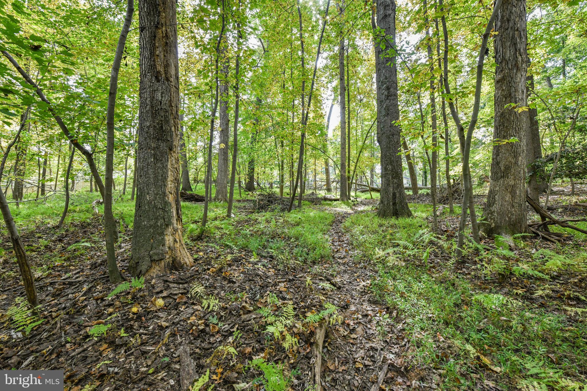 0 Larry Fairfax, VA 22030 - Photo 12 of 19