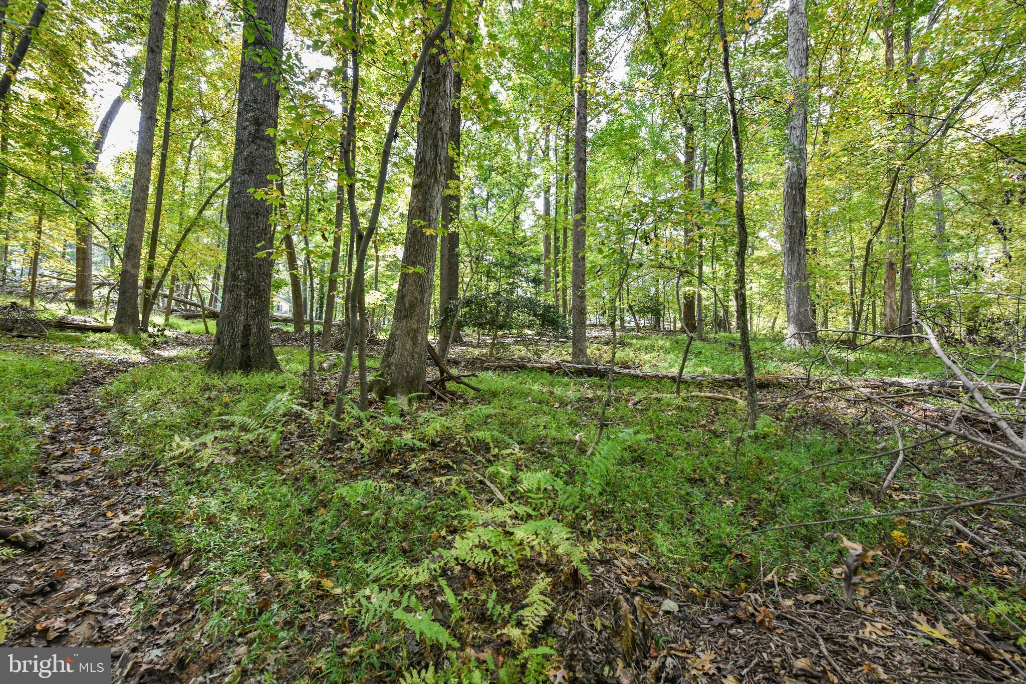 0 Larry Fairfax, VA 22030 - Photo 13 of 19