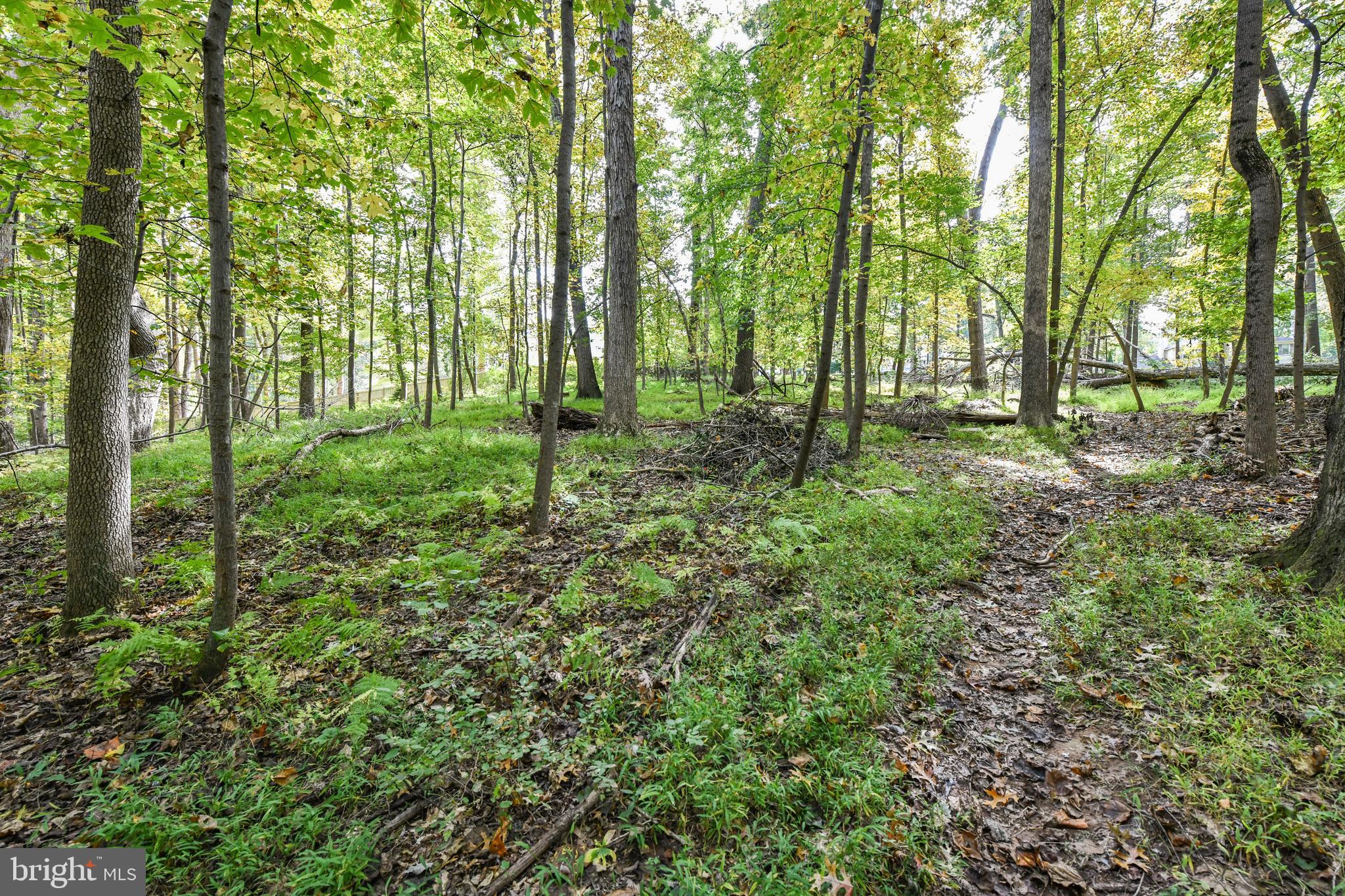 0 Larry Fairfax, VA 22030 - Photo 14 of 19