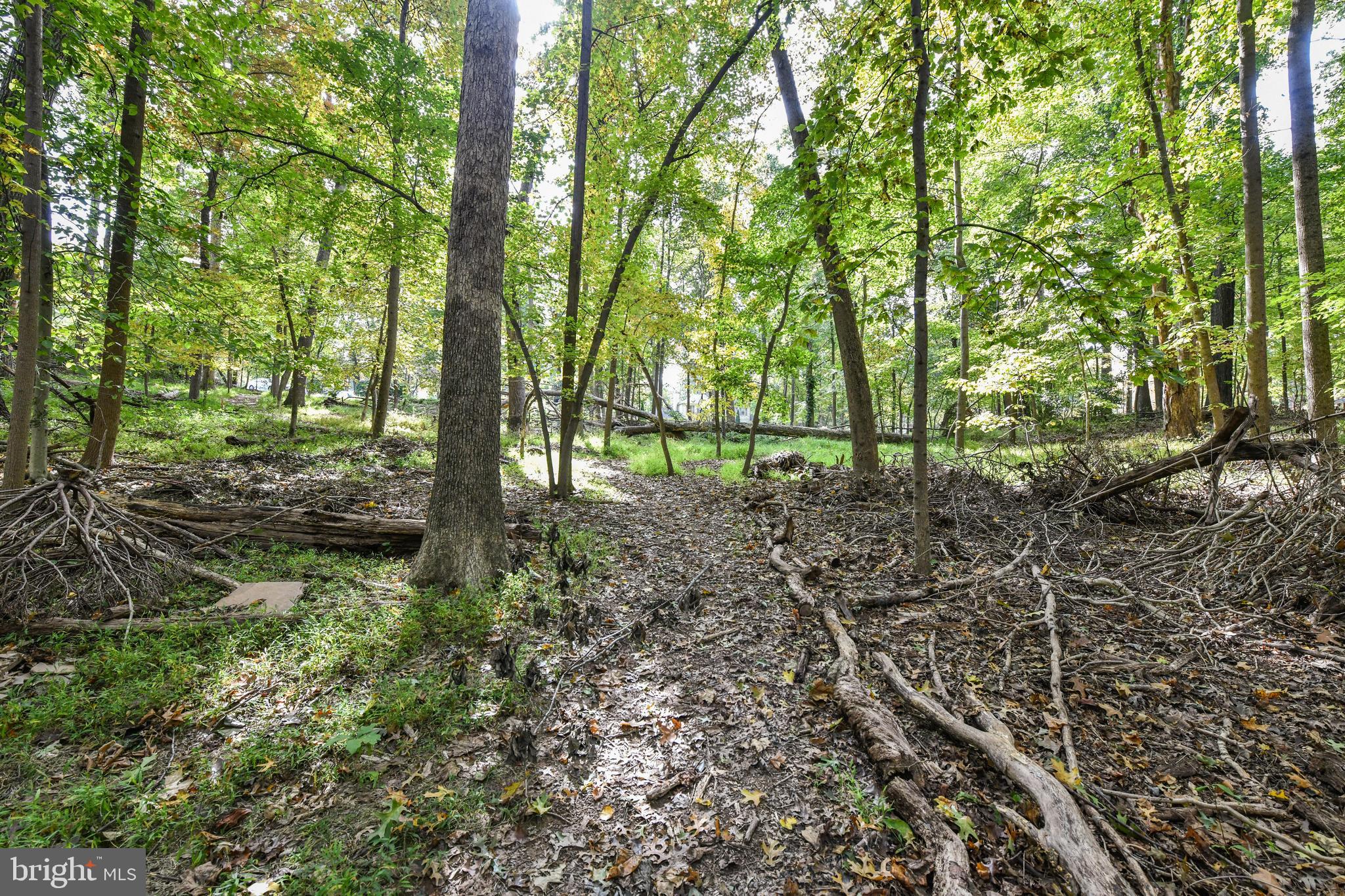 0 Larry Fairfax, VA 22030 - Photo 15 of 19