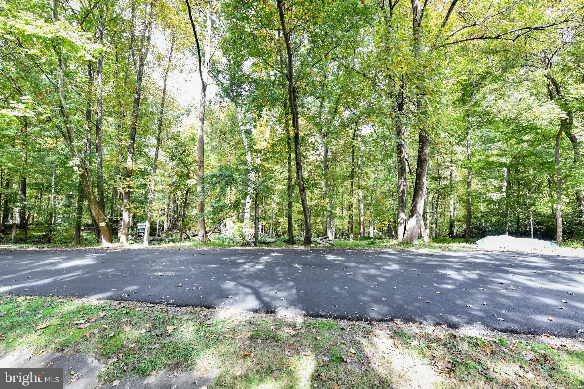 0 Larry Fairfax, VA 22030 - Photo 16 of 19