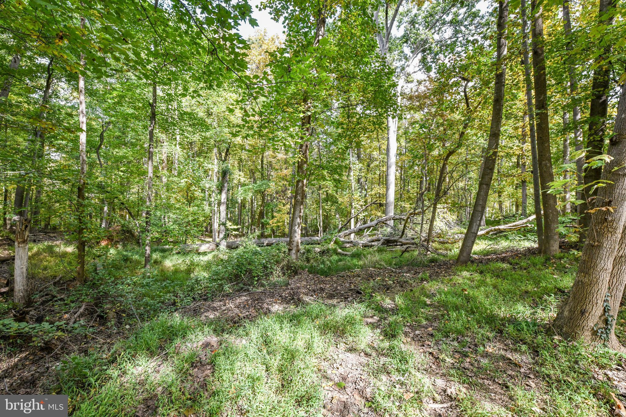 0 Larry Fairfax, VA 22030 - Photo 19 of 19