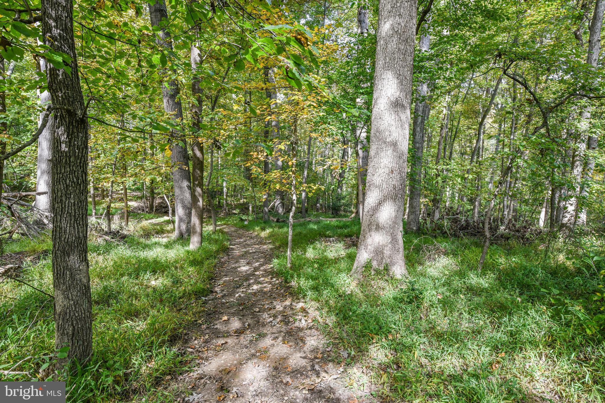 0 Larry Fairfax, VA 22030 - Photo 2 of 19