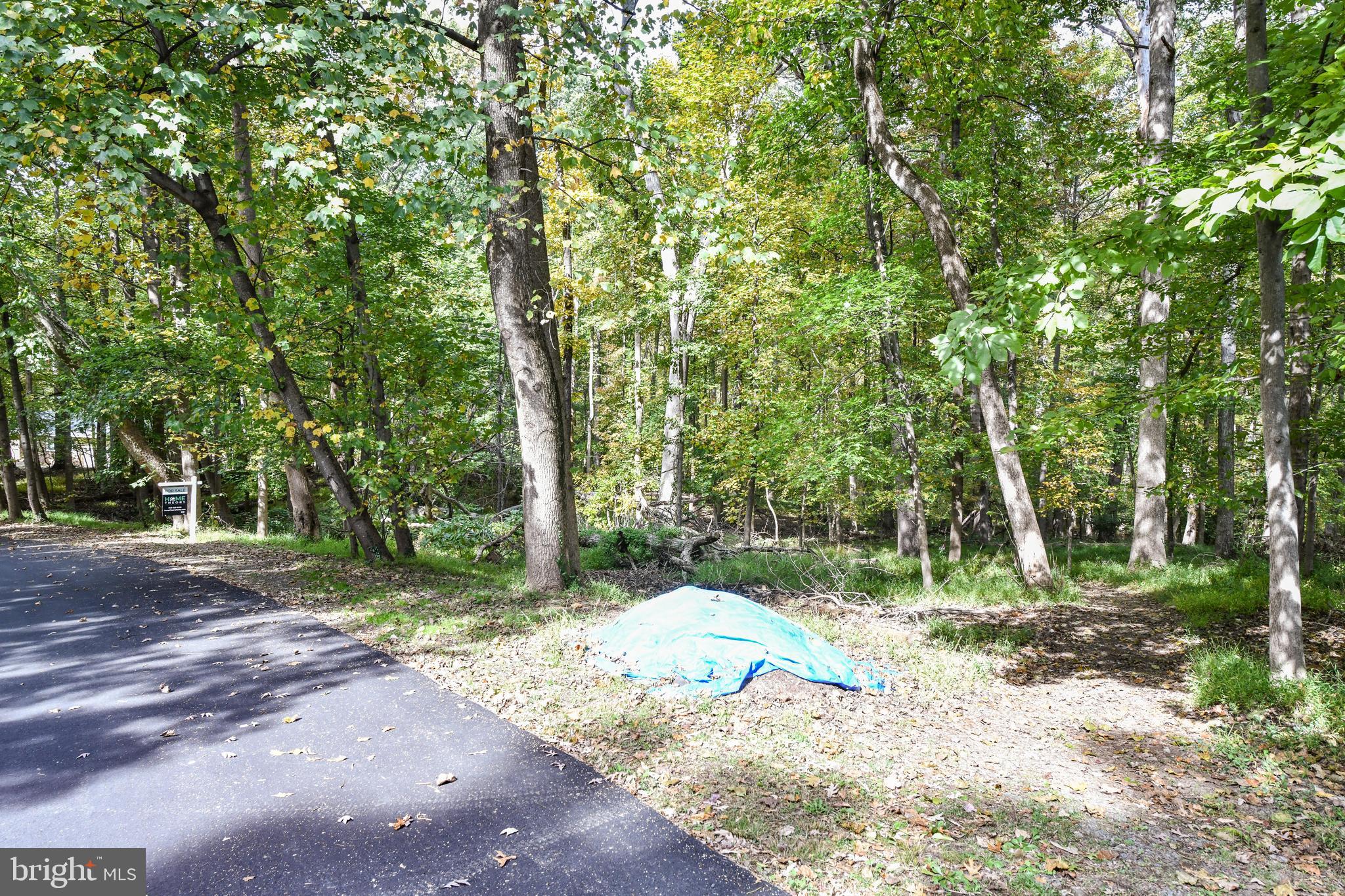 0 Larry Fairfax, VA 22030 - Photo 3 of 19