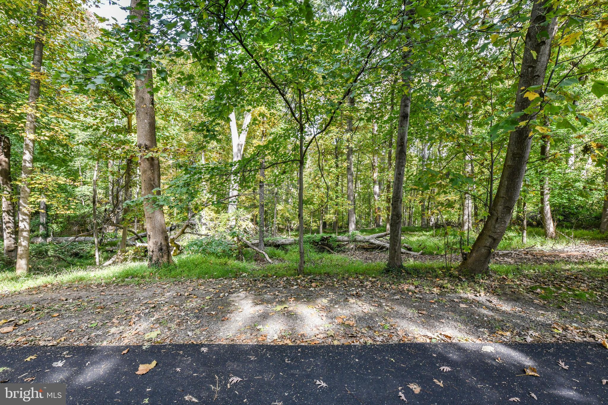 0 Larry Fairfax, VA 22030 - Photo 4 of 19