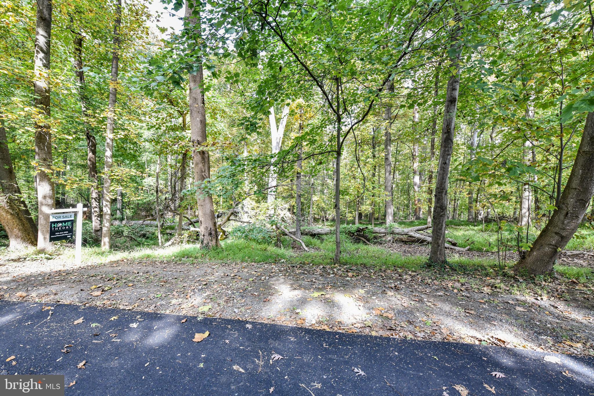 0 Larry Fairfax, VA 22030 - Photo 5 of 19