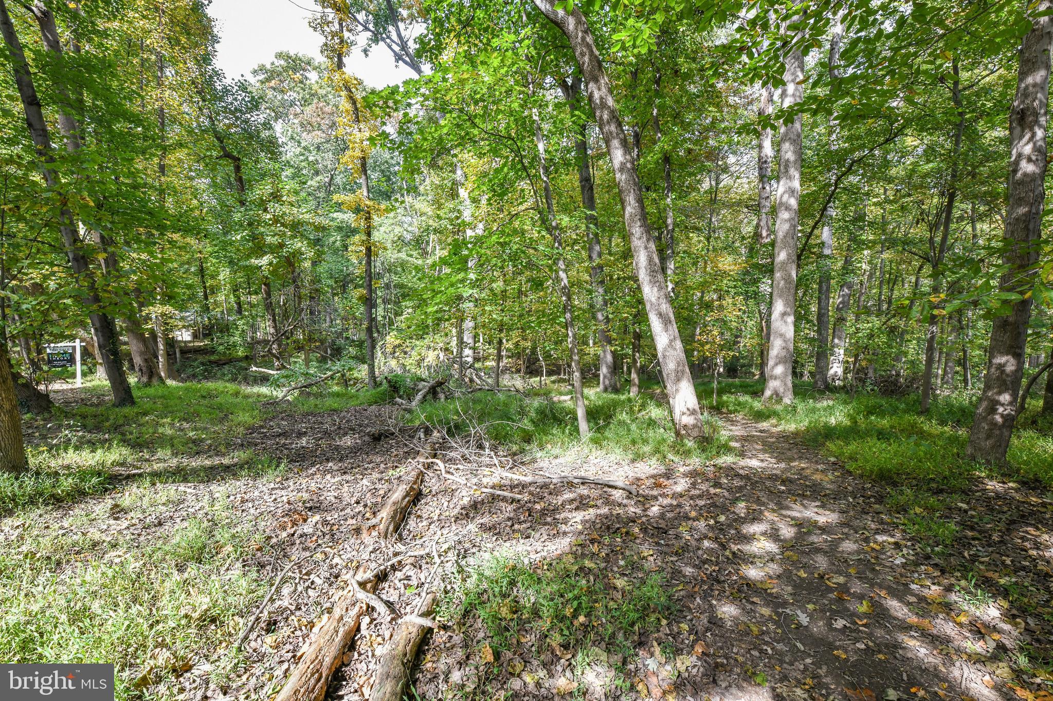 0 Larry Fairfax, VA 22030 - Photo 6 of 19