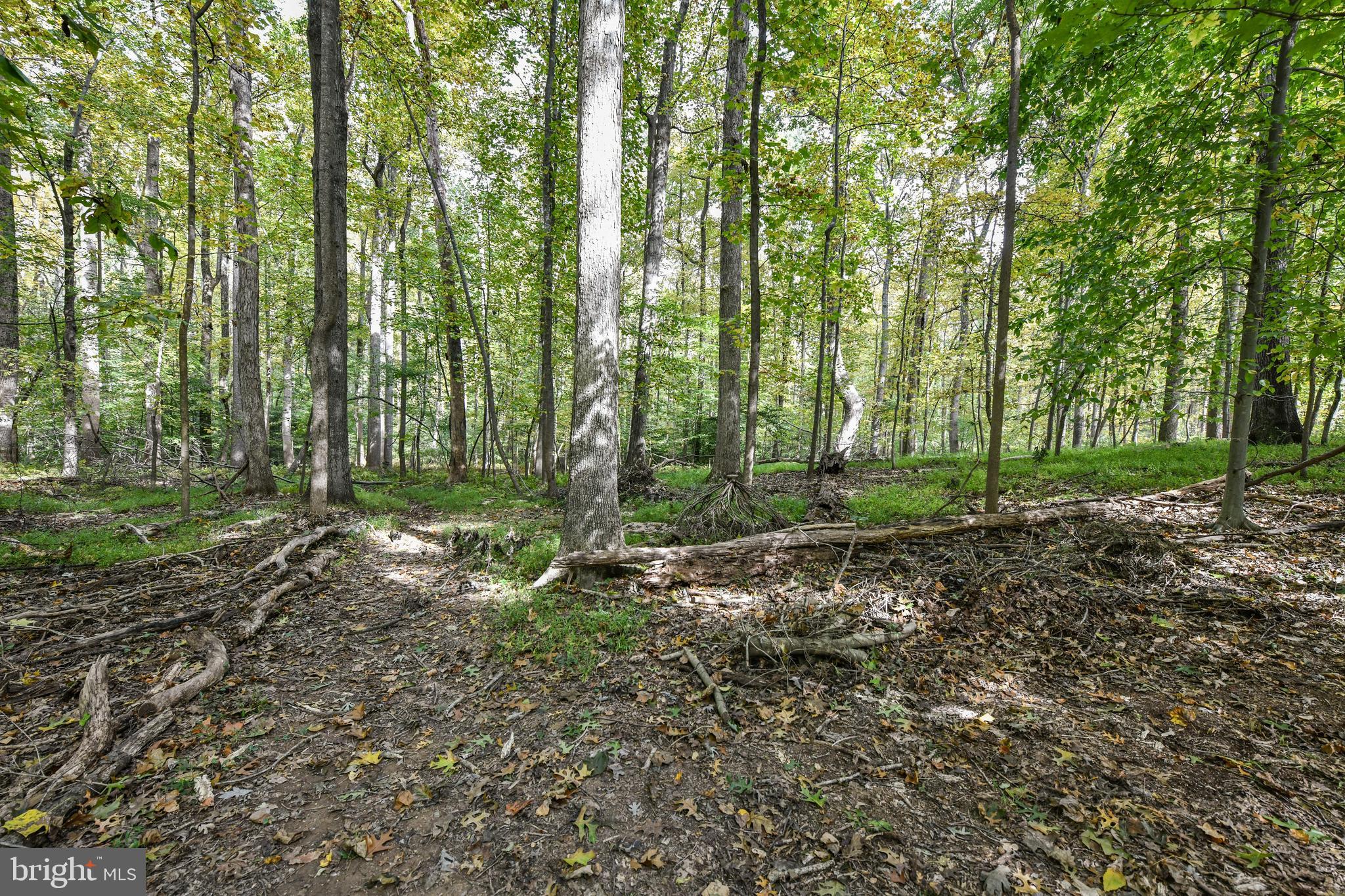 0 Larry Fairfax, VA 22030 - Photo 7 of 19