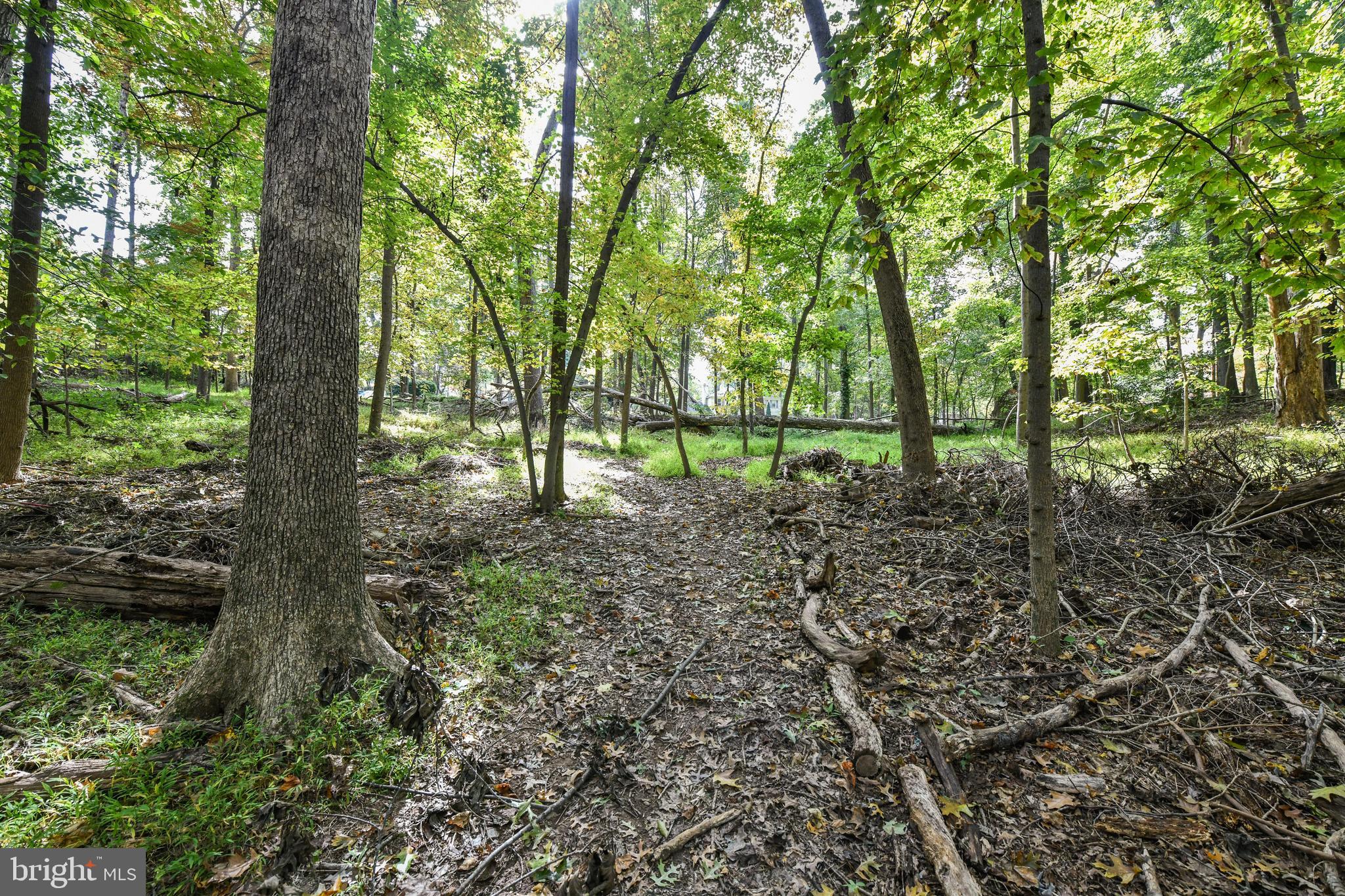 0 Larry Fairfax, VA 22030 - Photo 8 of 19