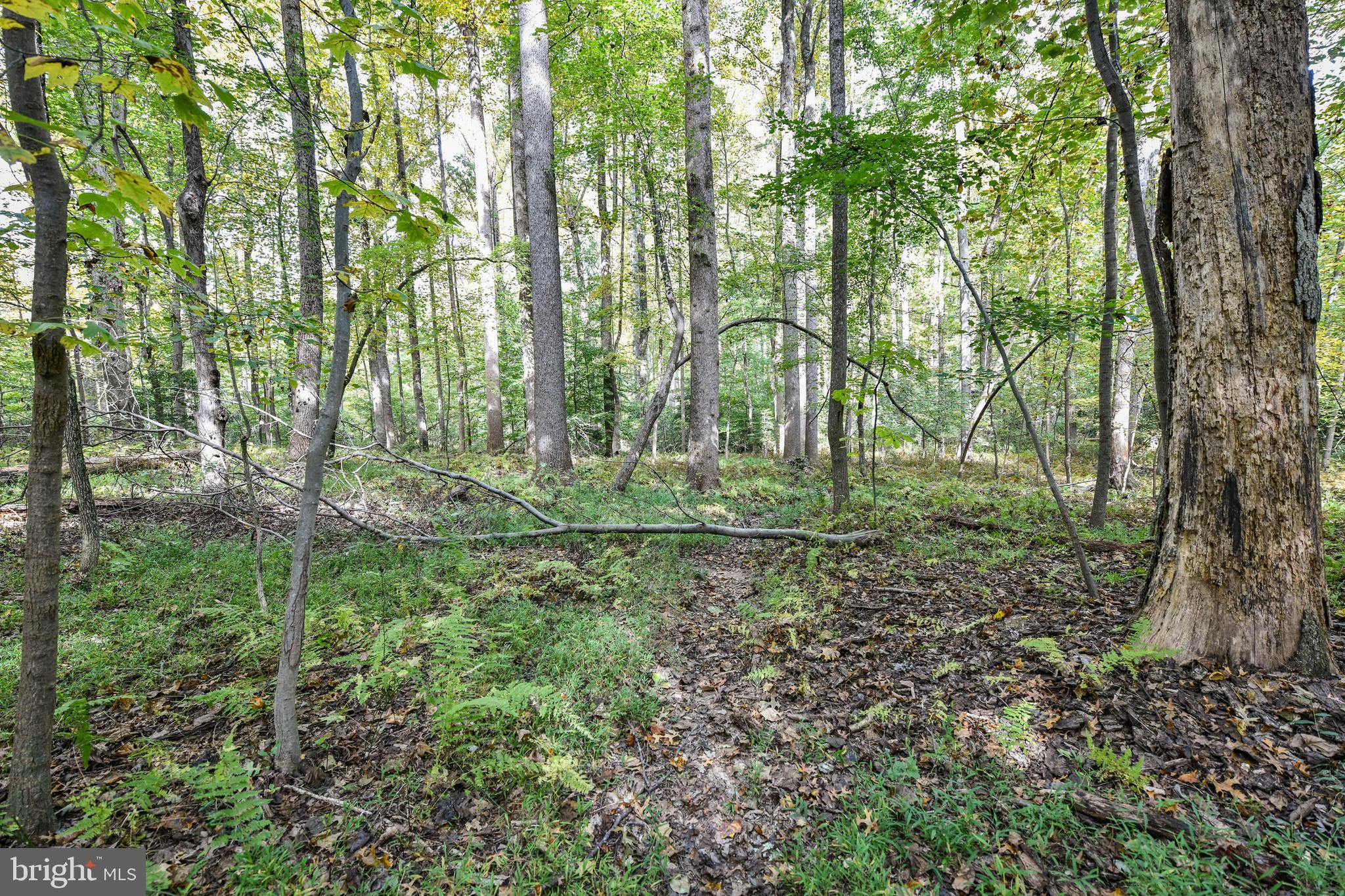 0 Larry Fairfax, VA 22030 - Photo 9 of 19