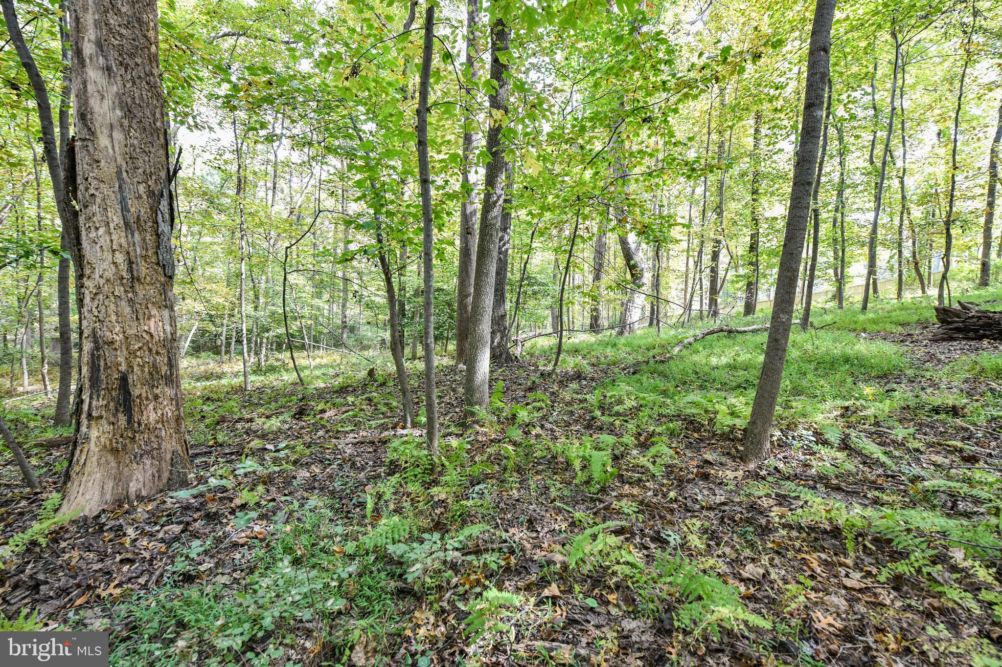 0 Larry Fairfax, VA 22030 - Photo 10 of 19