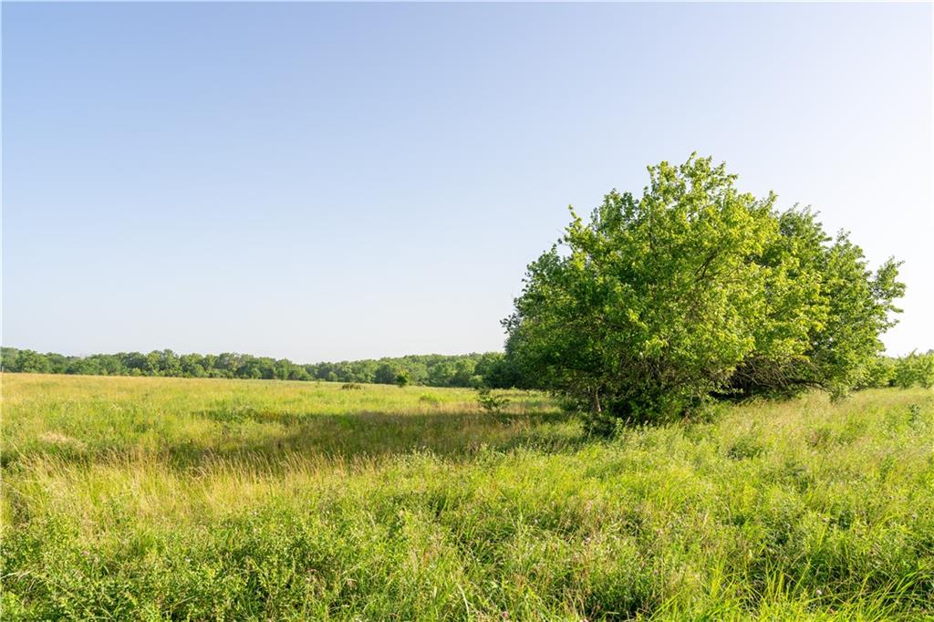 134 Haskell Road Pomona, KS 66076 - Photo 30 of 38