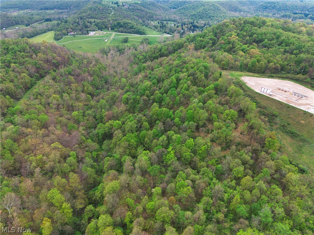 0 Bealls Ridge Wellsburg, WV 26070 - Photo 12 of 46