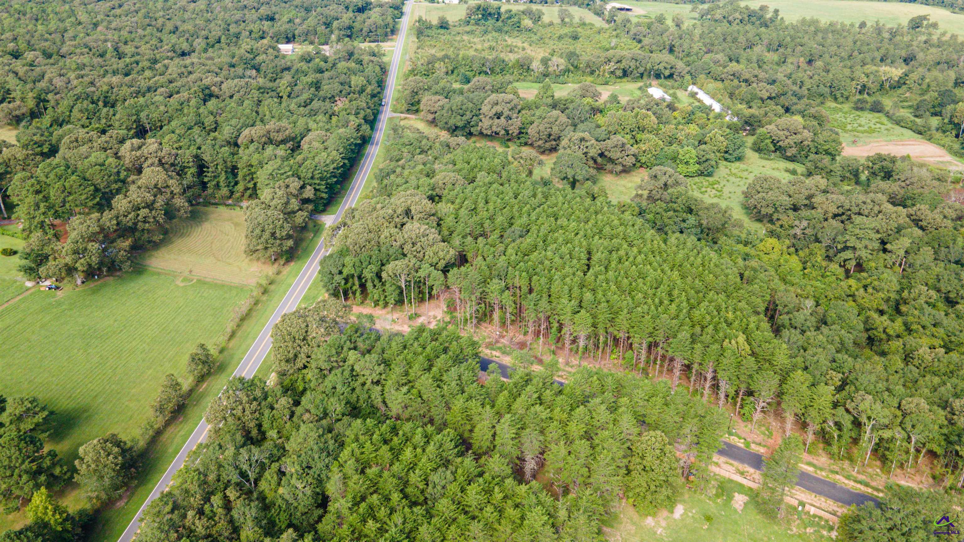 Lot 1 Trojan Way Barnesville, GA 30204 - Photo 11 of 11