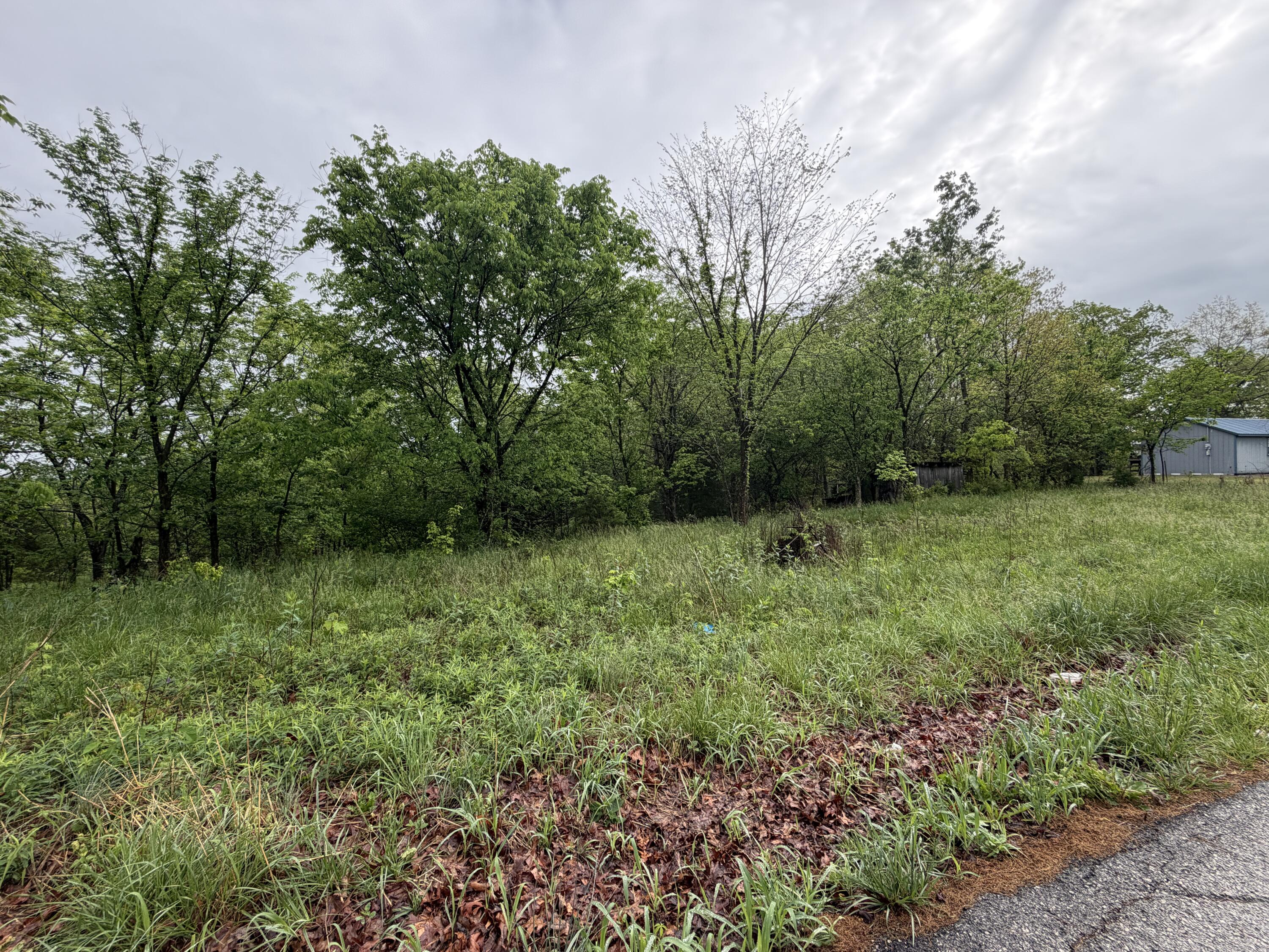 2728 Pea Ridge Road Germantown, KY 41044 - Photo 6 of 11