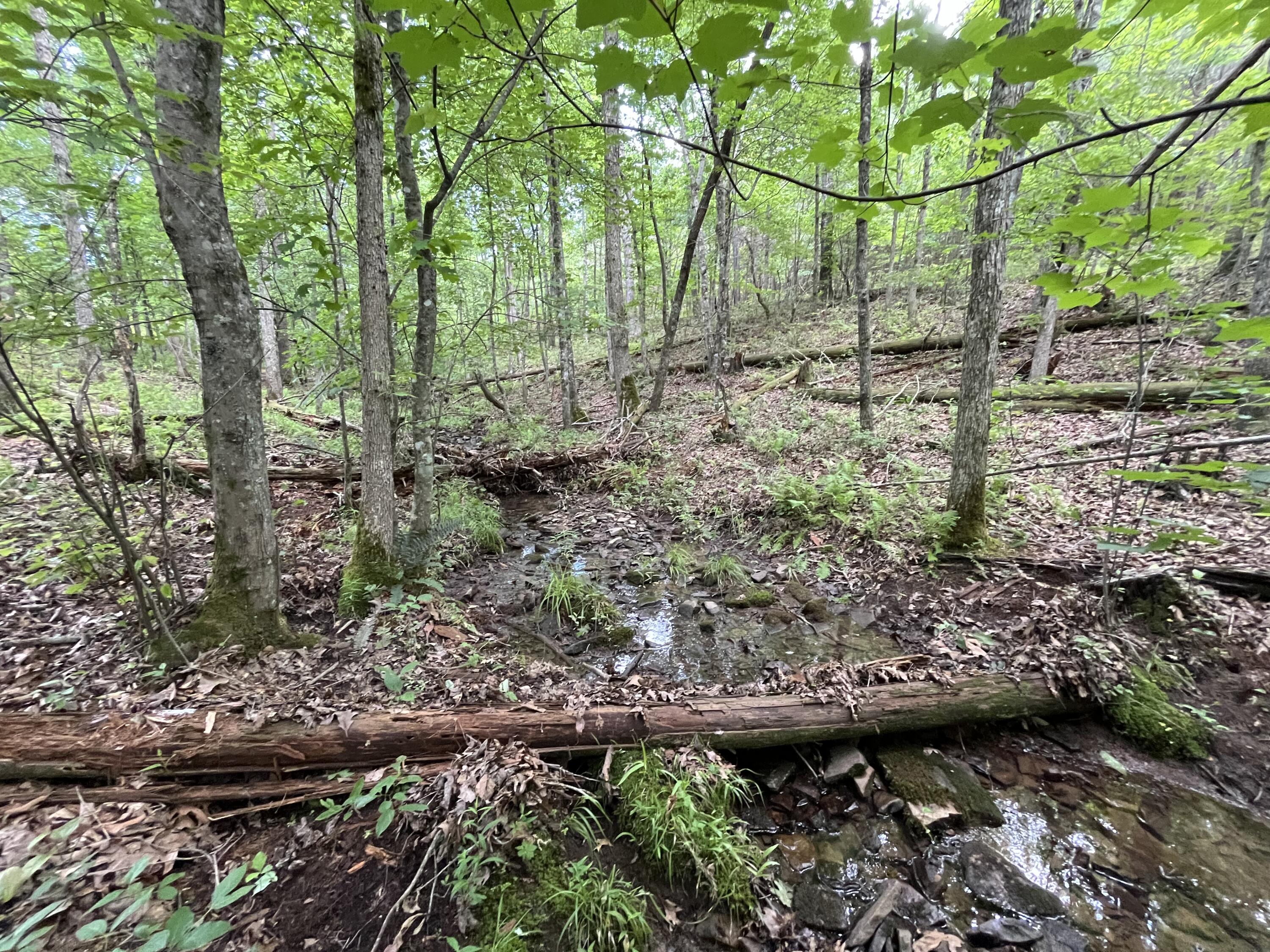 9 Fredonia Road Dunlap, TN 37327 - Photo 11 of 31 Photo May 29 2024, 2 06 45 PM