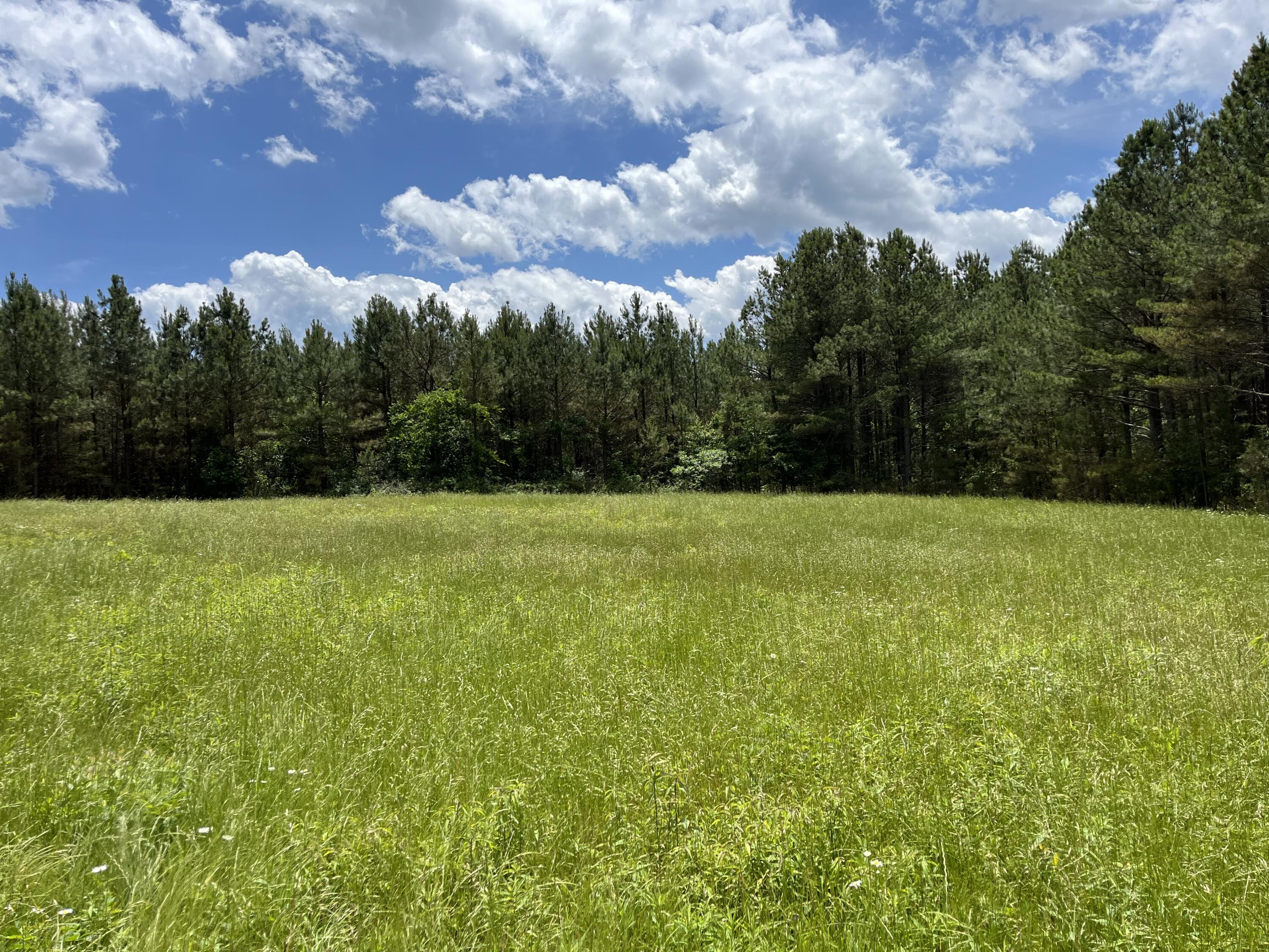 9 Fredonia Road Dunlap, TN 37327 - Photo 15 of 31 Photo May 29 2024, 2 11 15 PM