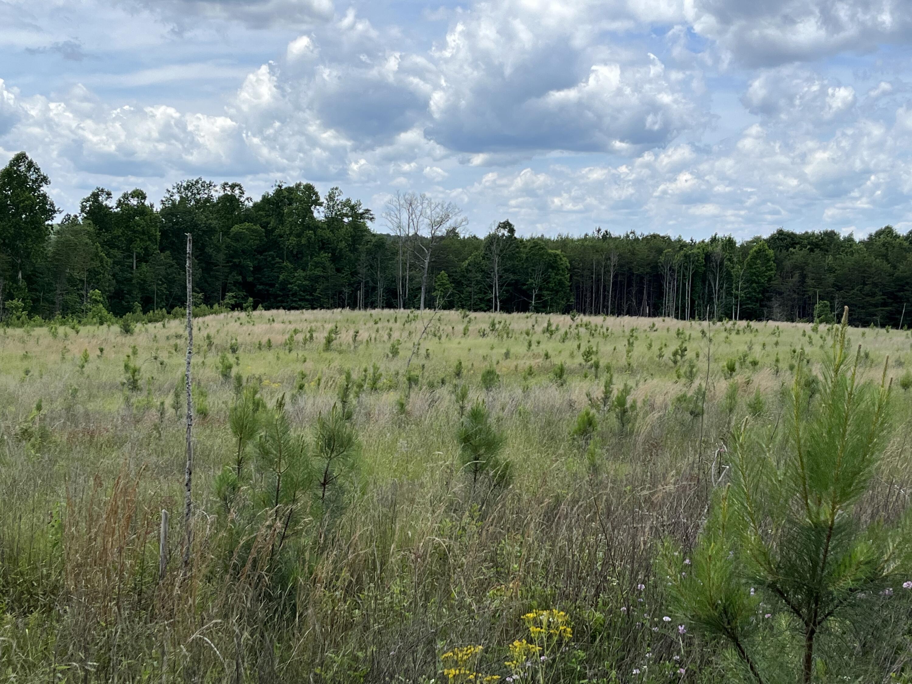 9 Fredonia Road Dunlap, TN 37327 - Photo 16 of 31 Photo May 29 2024, 2 19 25 PM