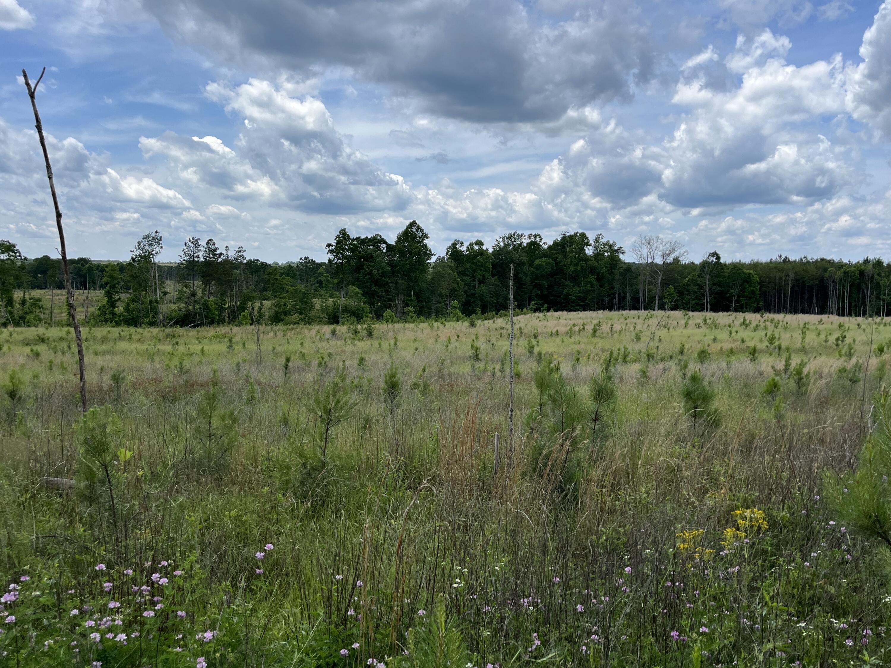 9 Fredonia Road Dunlap, TN 37327 - Photo 18 of 31 Photo May 29 2024, 2 19 28 PM