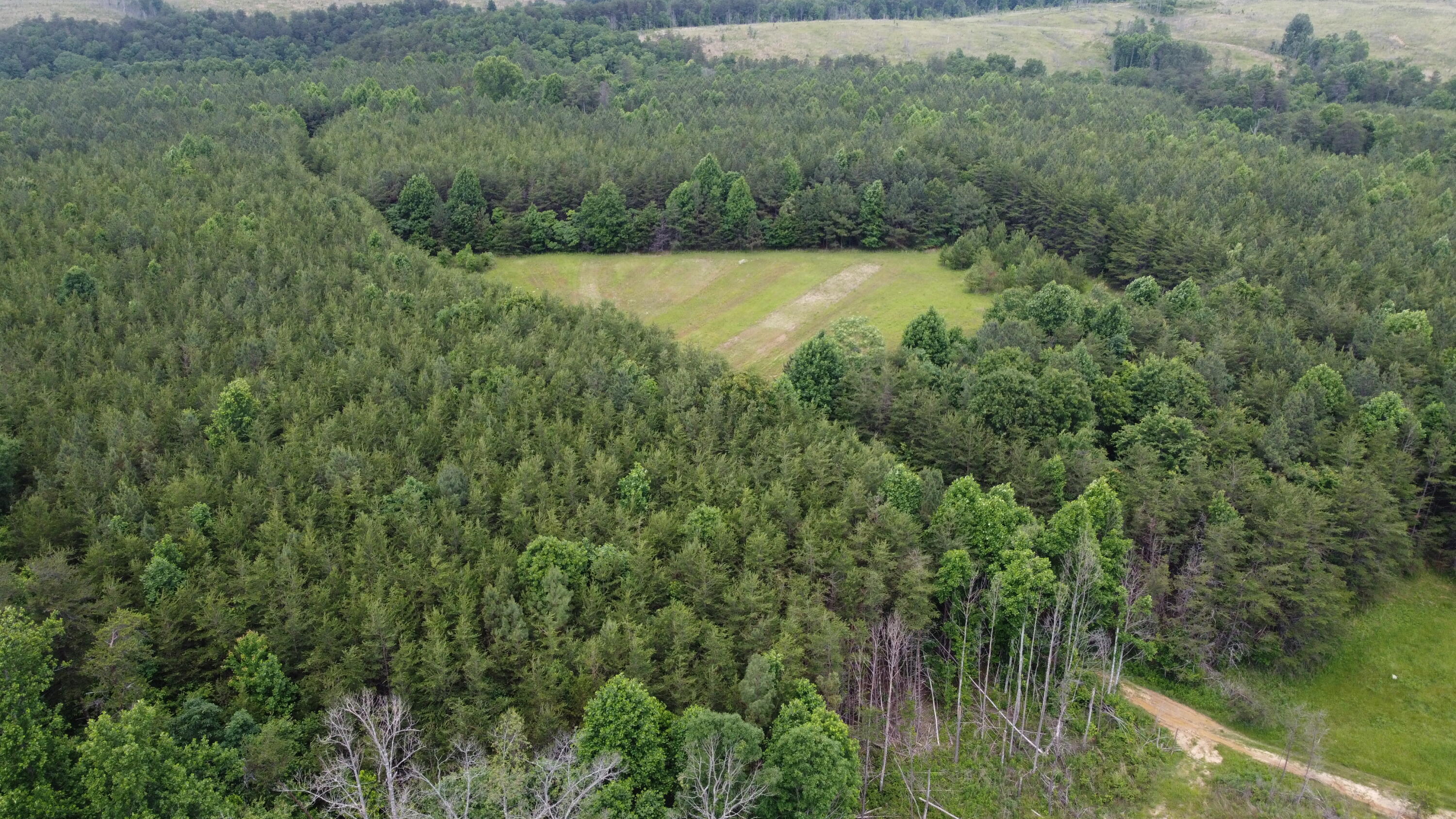 9 Fredonia Road Dunlap, TN 37327 - Photo 29 of 31 Photo May 29 2024, 2 27 56 PM