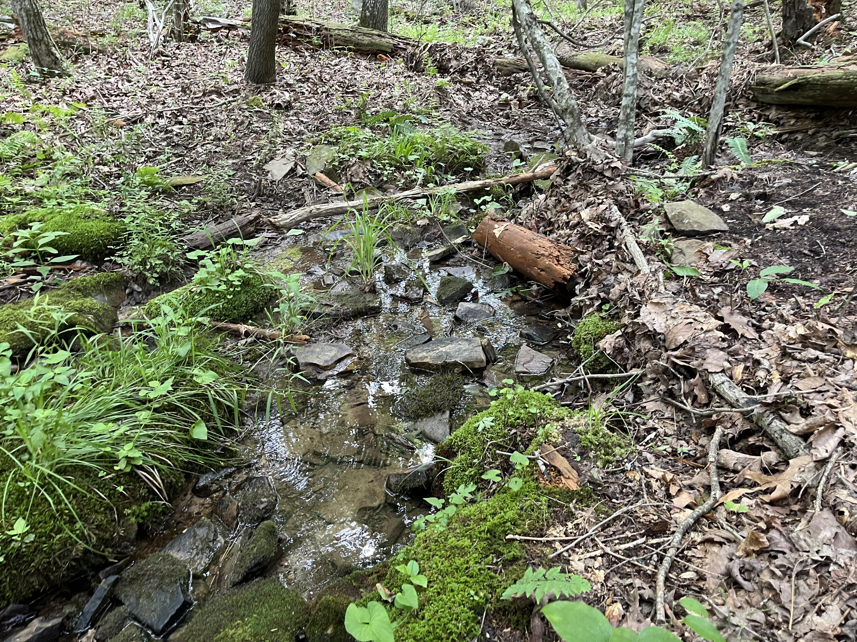 9 Fredonia Road Dunlap, TN 37327 - Photo 4 of 31 Photo May 29 2024, 2 06 03 PM