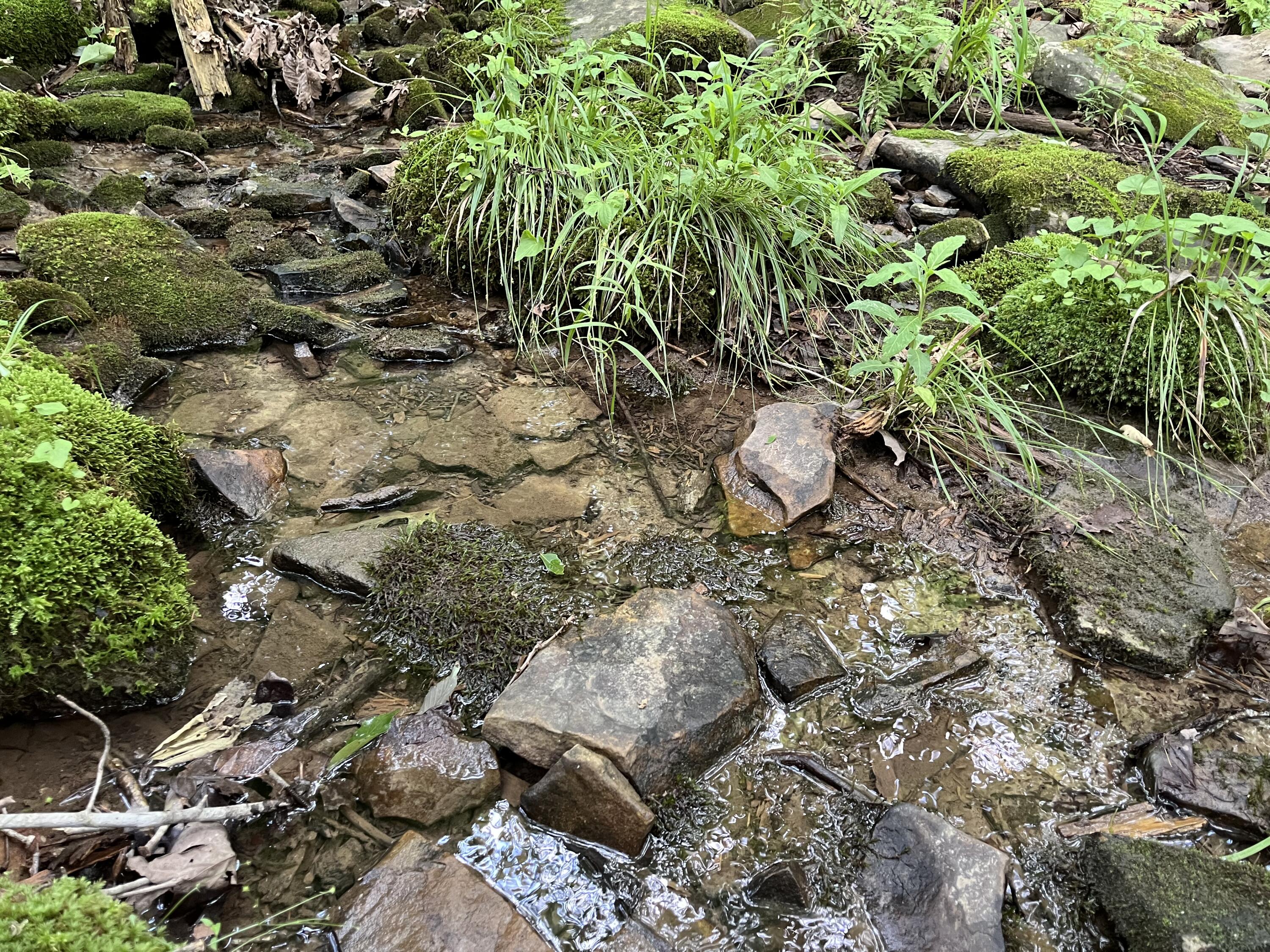 9 Fredonia Road Dunlap, TN 37327 - Photo 5 of 31 Photo May 29 2024, 2 06 14 PM