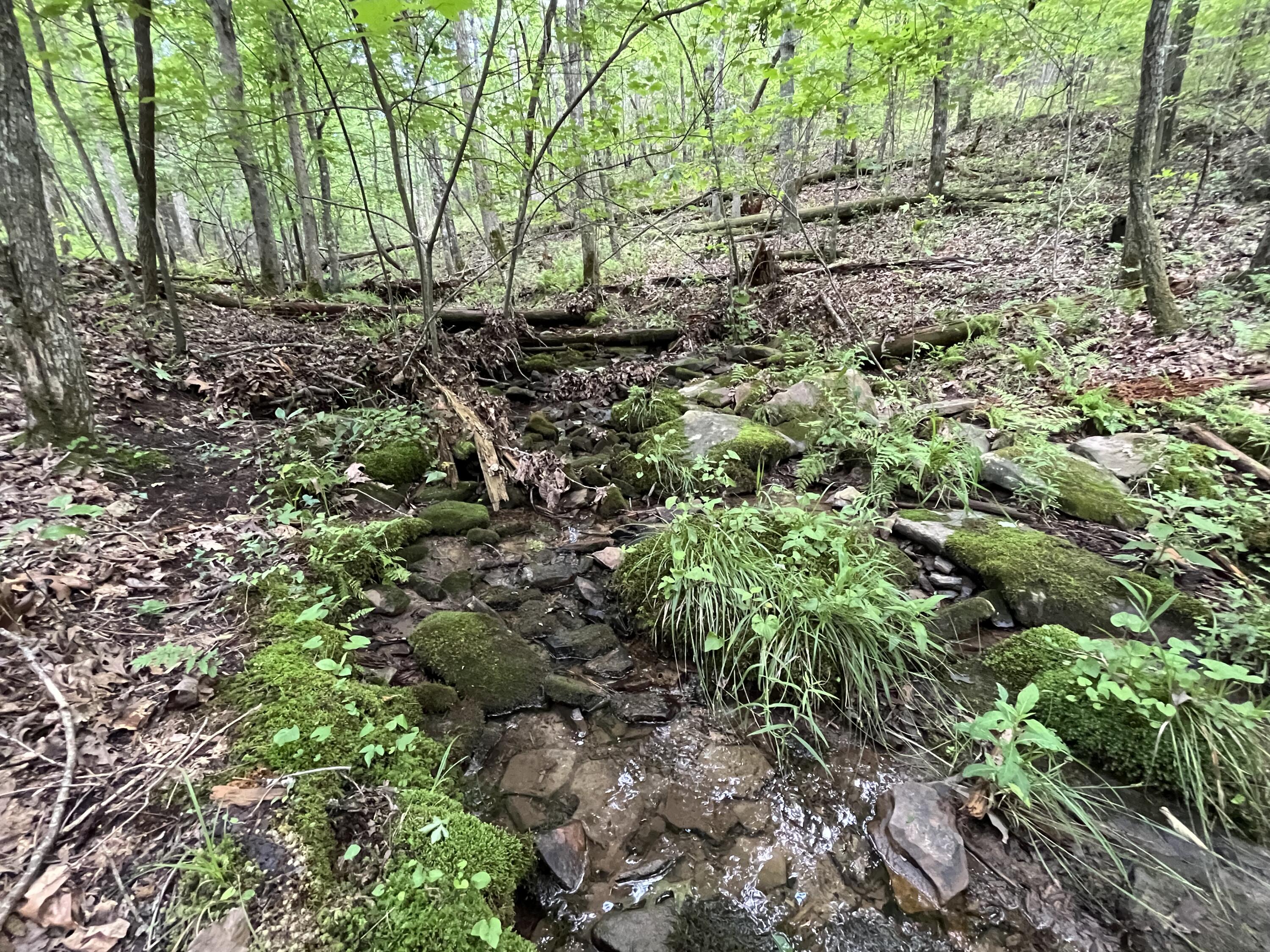 9 Fredonia Road Dunlap, TN 37327 - Photo 6 of 31 Photo May 29 2024, 2 06 18 PM