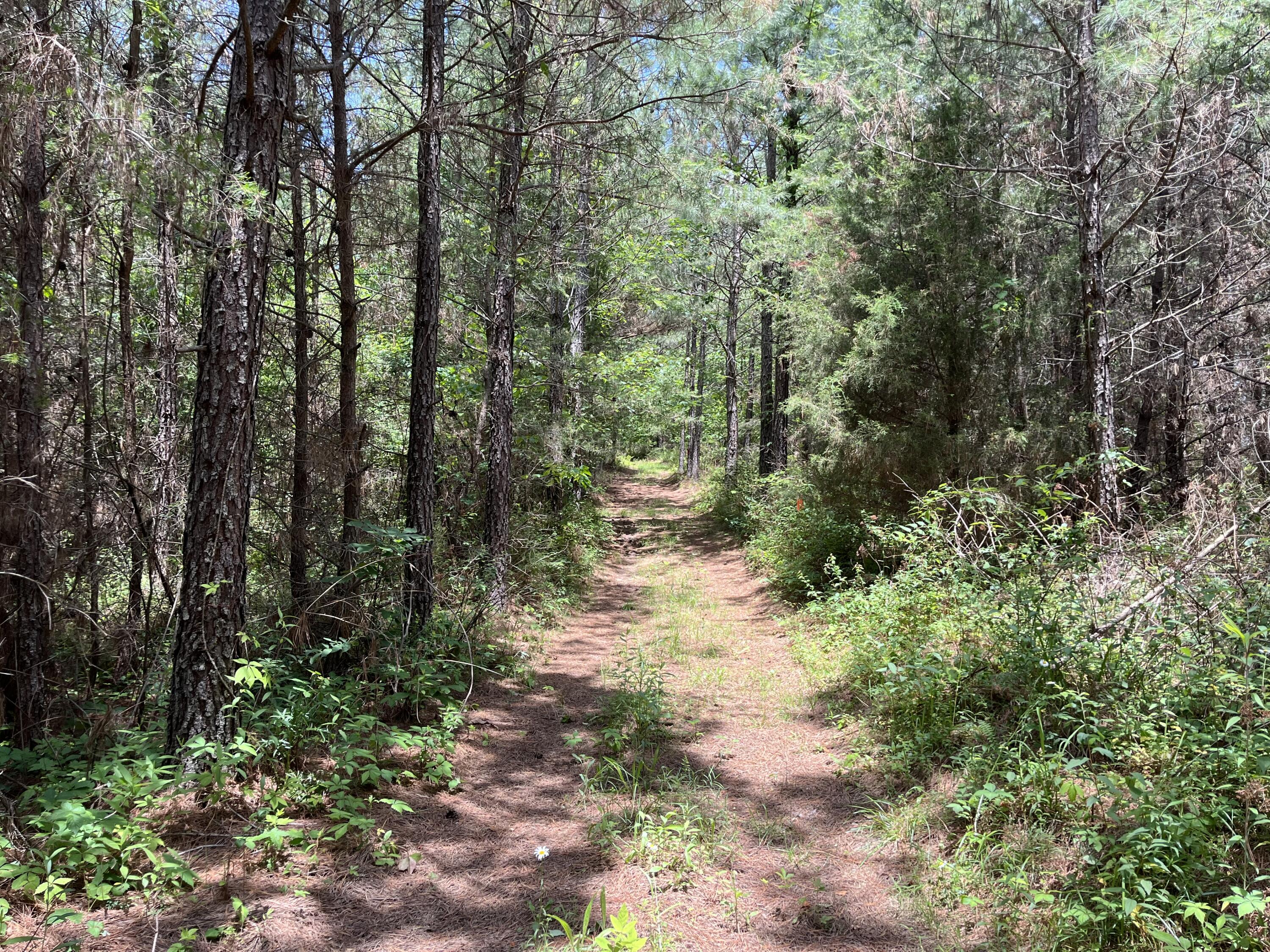 9 Fredonia Road Dunlap, TN 37327 - Photo 8 of 31 Photo May 29 2024, 2 01 02 PM