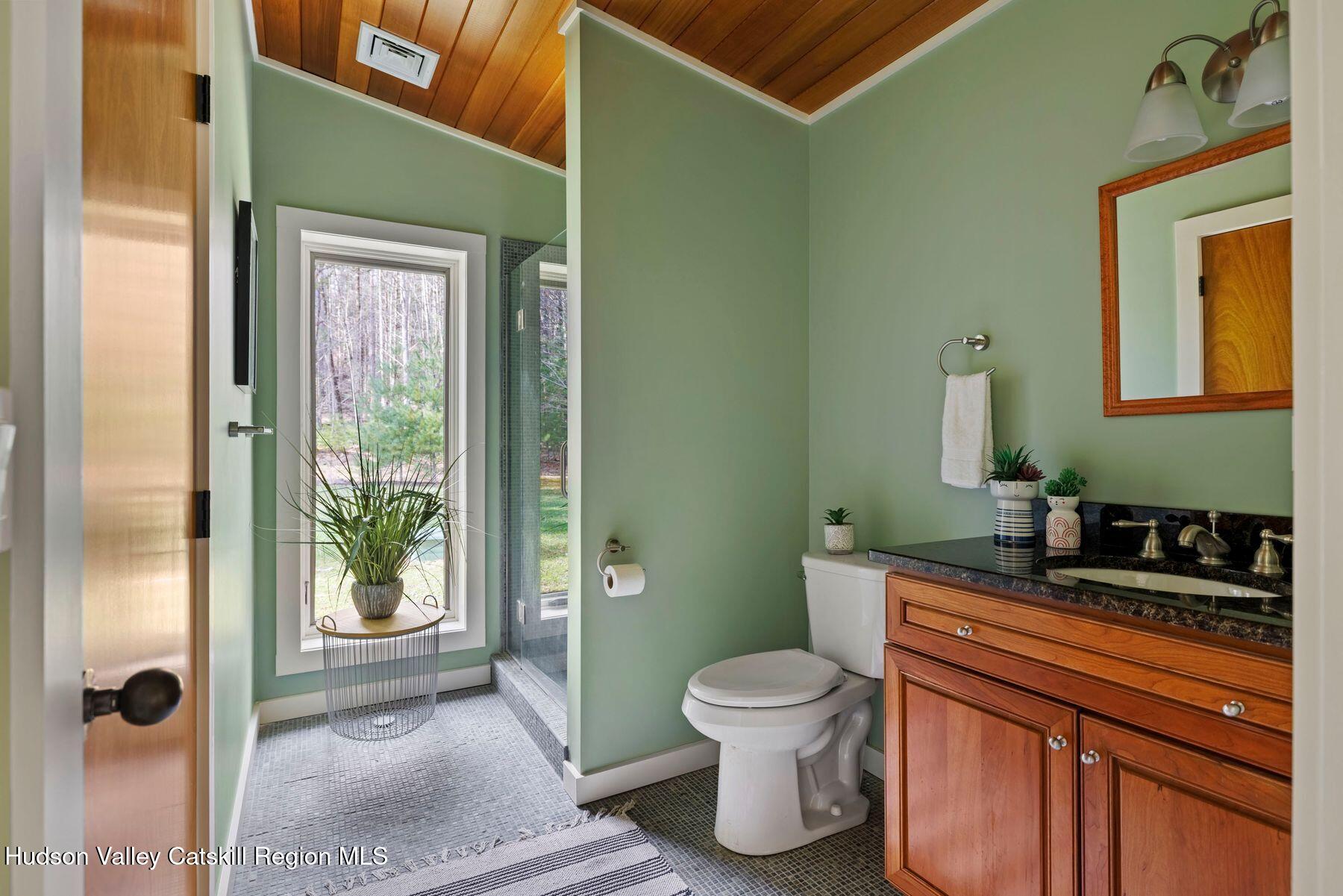 41 Shultis Farm Road Bearsville, NY 12409 - Photo 30 of 47 a bathroom with a sink a toilet and shower