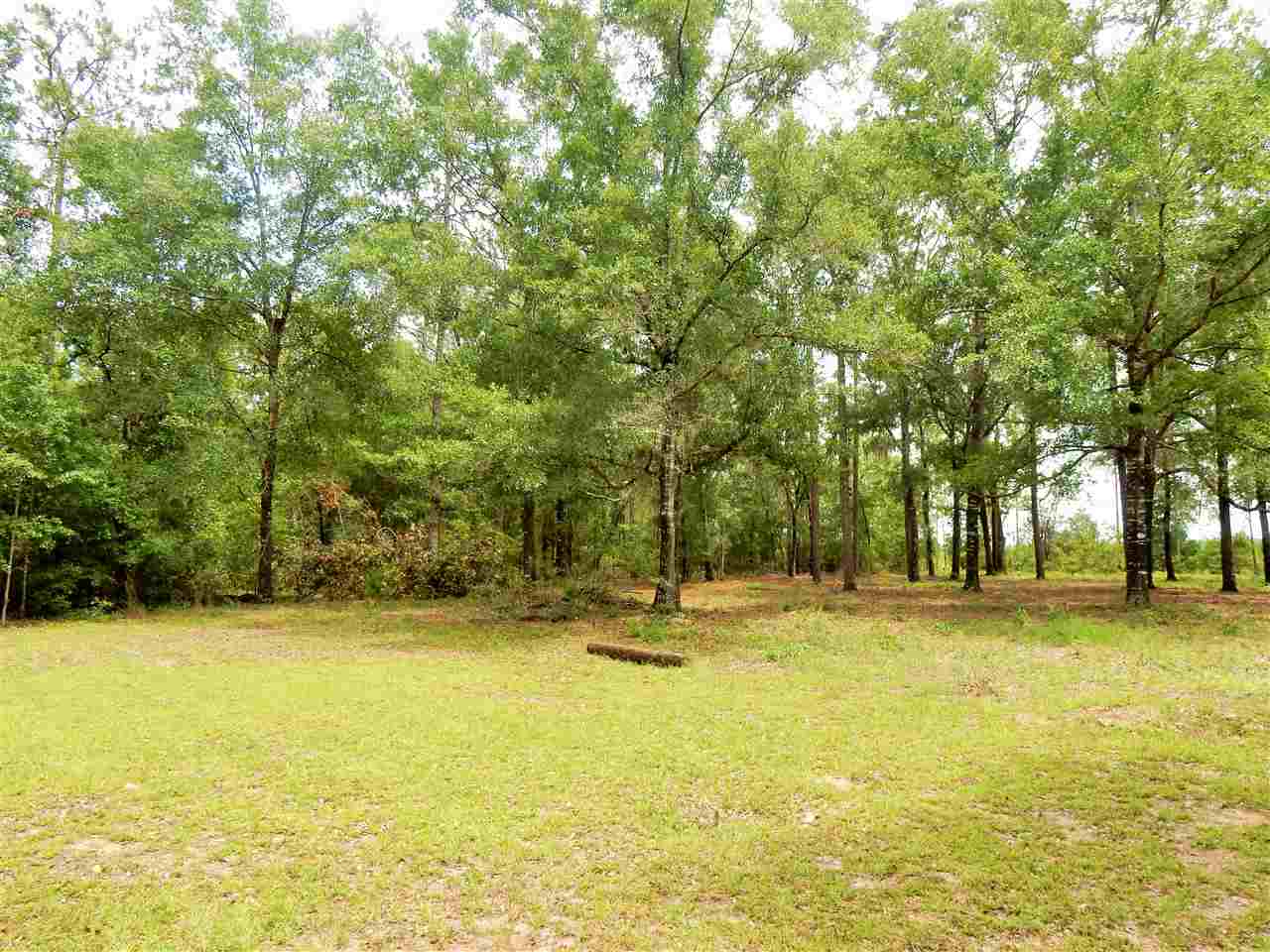 10415 Tram Road Tallahassee, FL 32311 - Photo 13 of 26 Gallery Image 13