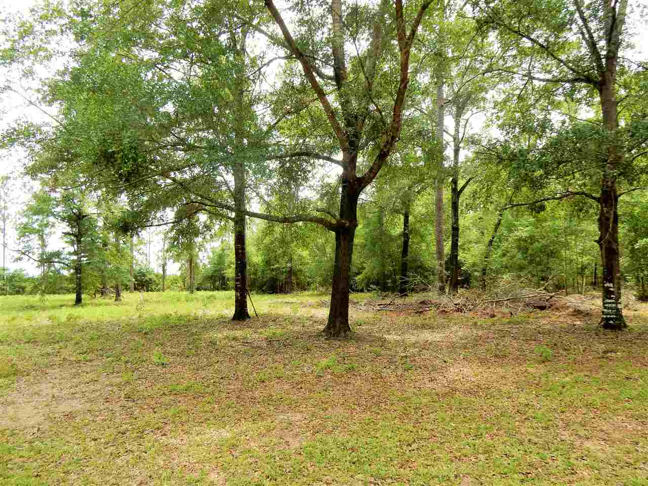 10415 Tram Road Tallahassee, FL 32311 - Photo 14 of 26 Gallery Image 14
