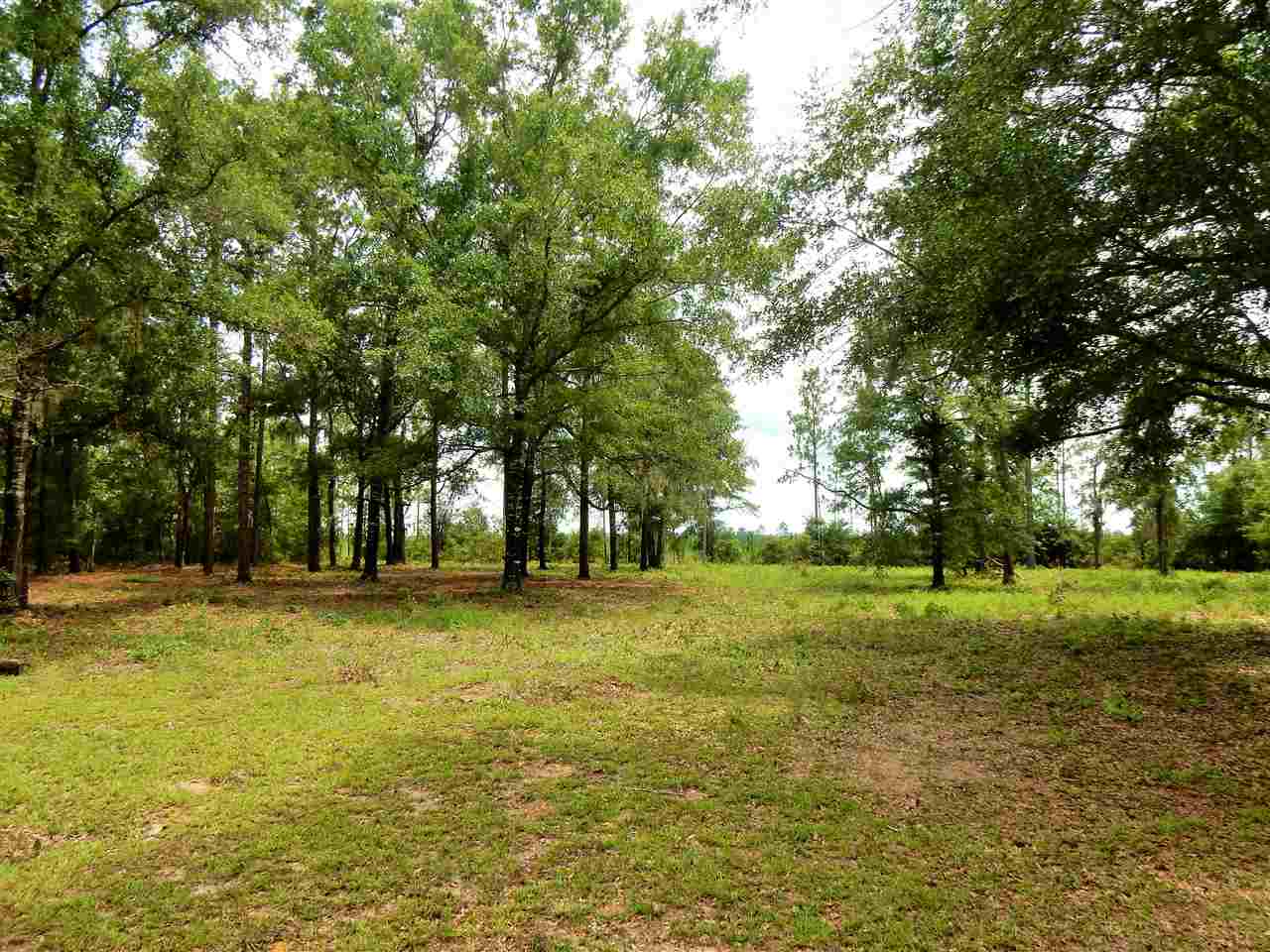 10415 Tram Road Tallahassee, FL 32311 - Photo 16 of 26 Gallery Image 16
