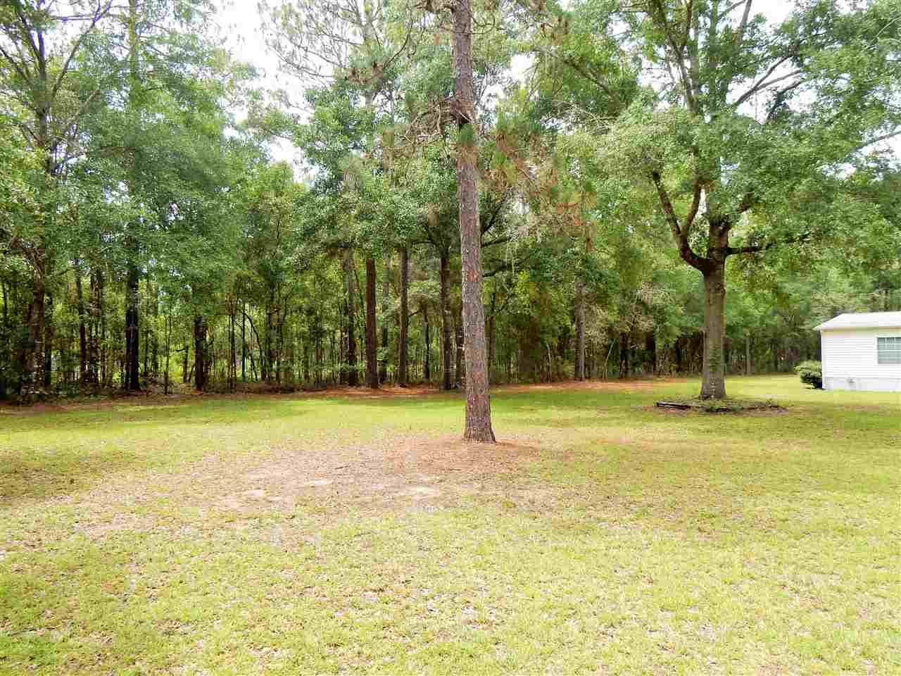 10415 Tram Road Tallahassee, FL 32311 - Photo 20 of 26 Gallery Image 20