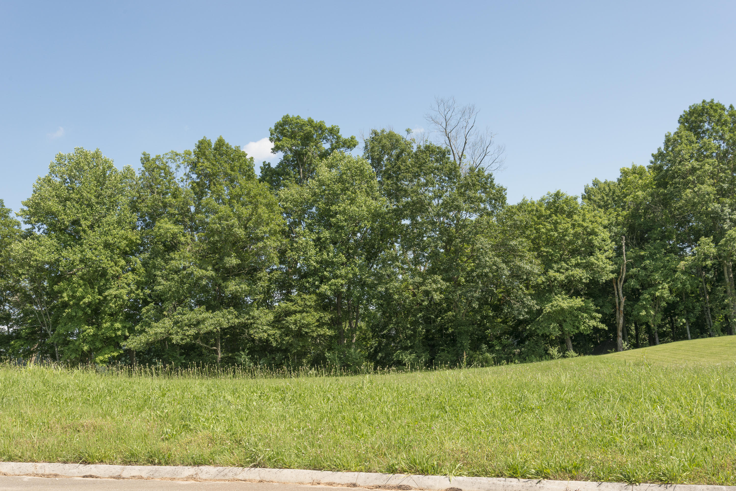 Stone Road Blaine, TN 37709 - Photo 2 of 14 RiverStone_0529