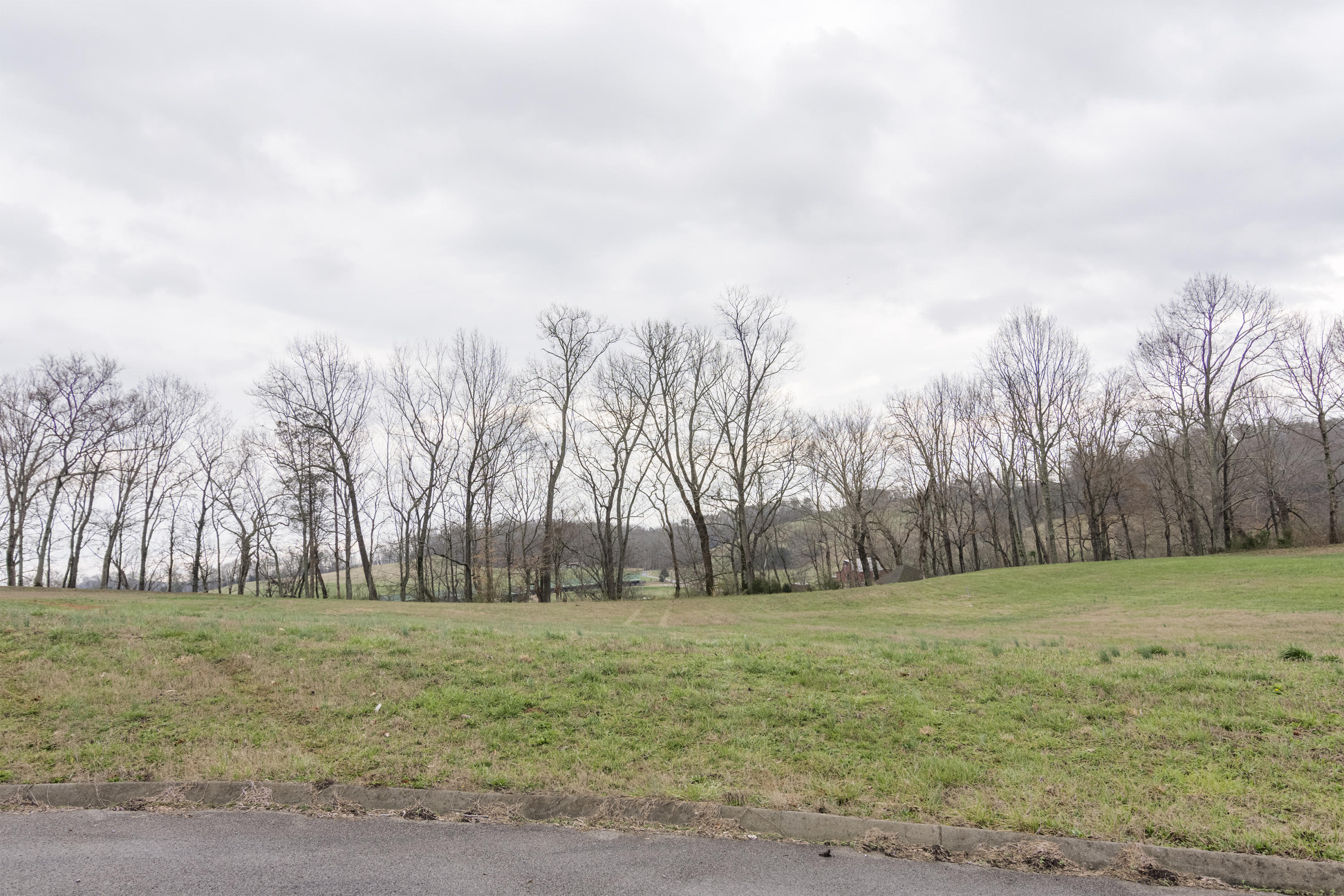 Stone Road Blaine, TN 37709 - Photo 11 of 14 River Stone_007