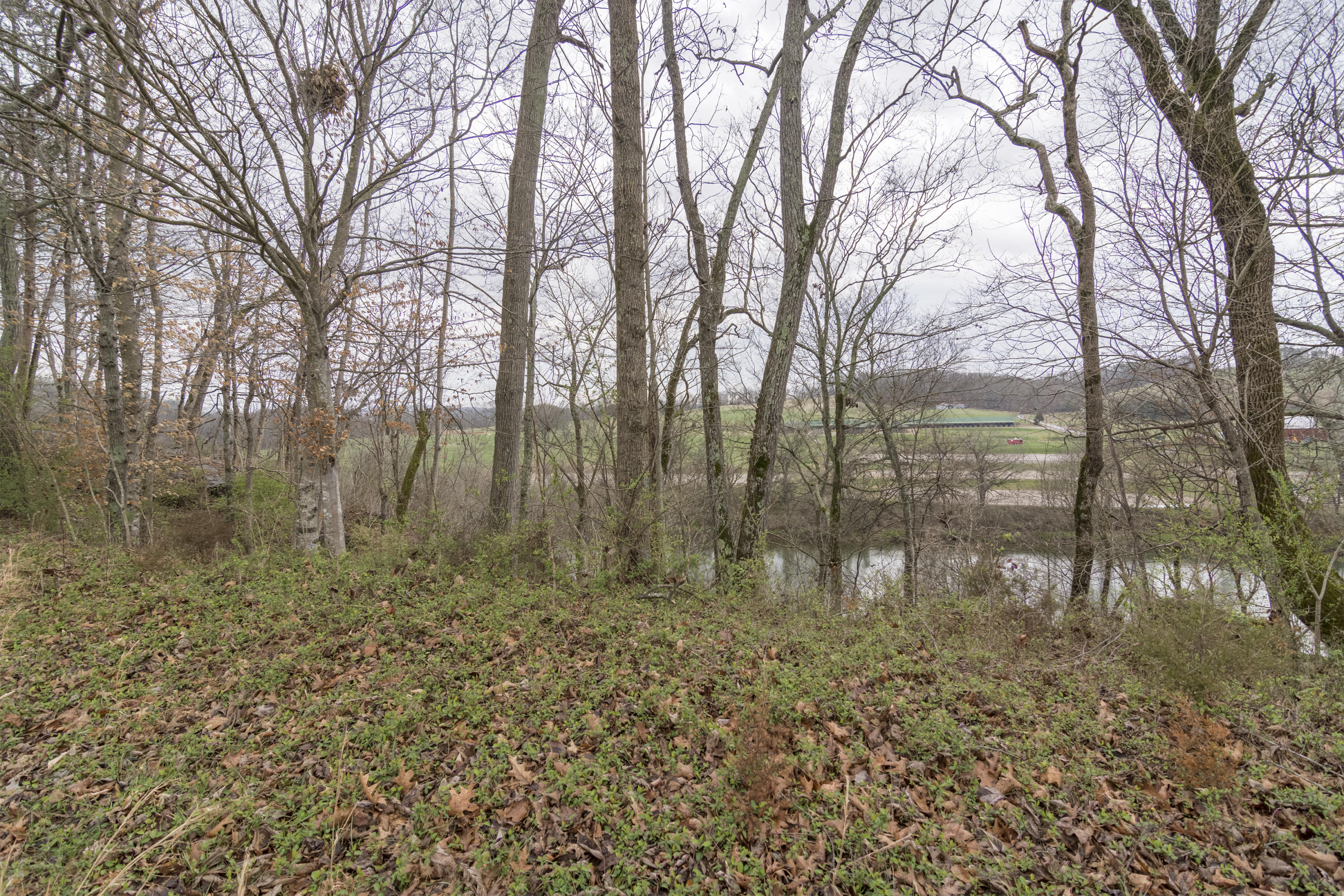 Stone Road Blaine, TN 37709 - Photo 12 of 14 River Stone_001