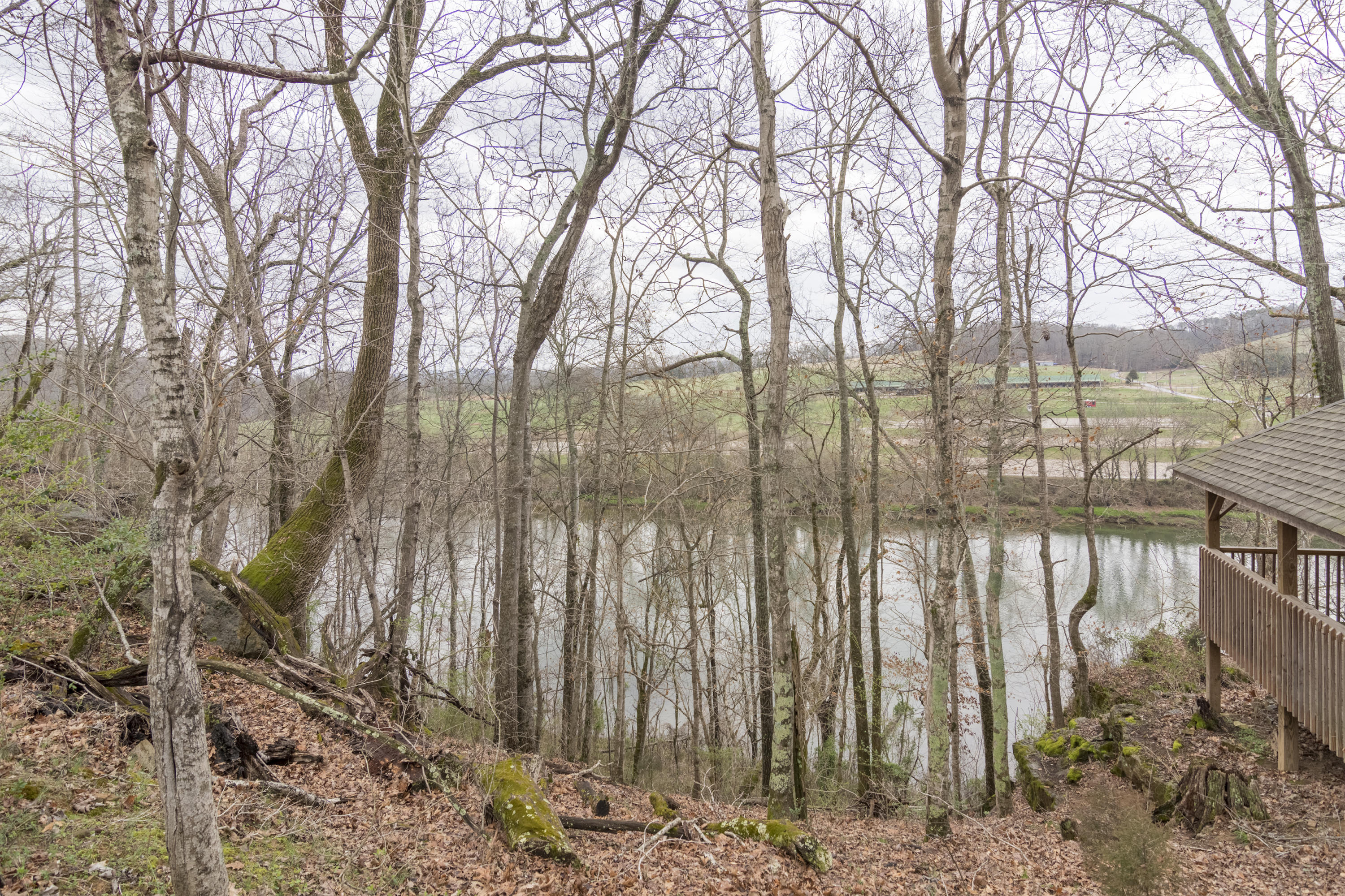 Stone Road Blaine, TN 37709 - Photo 13 of 14 River Stone_004